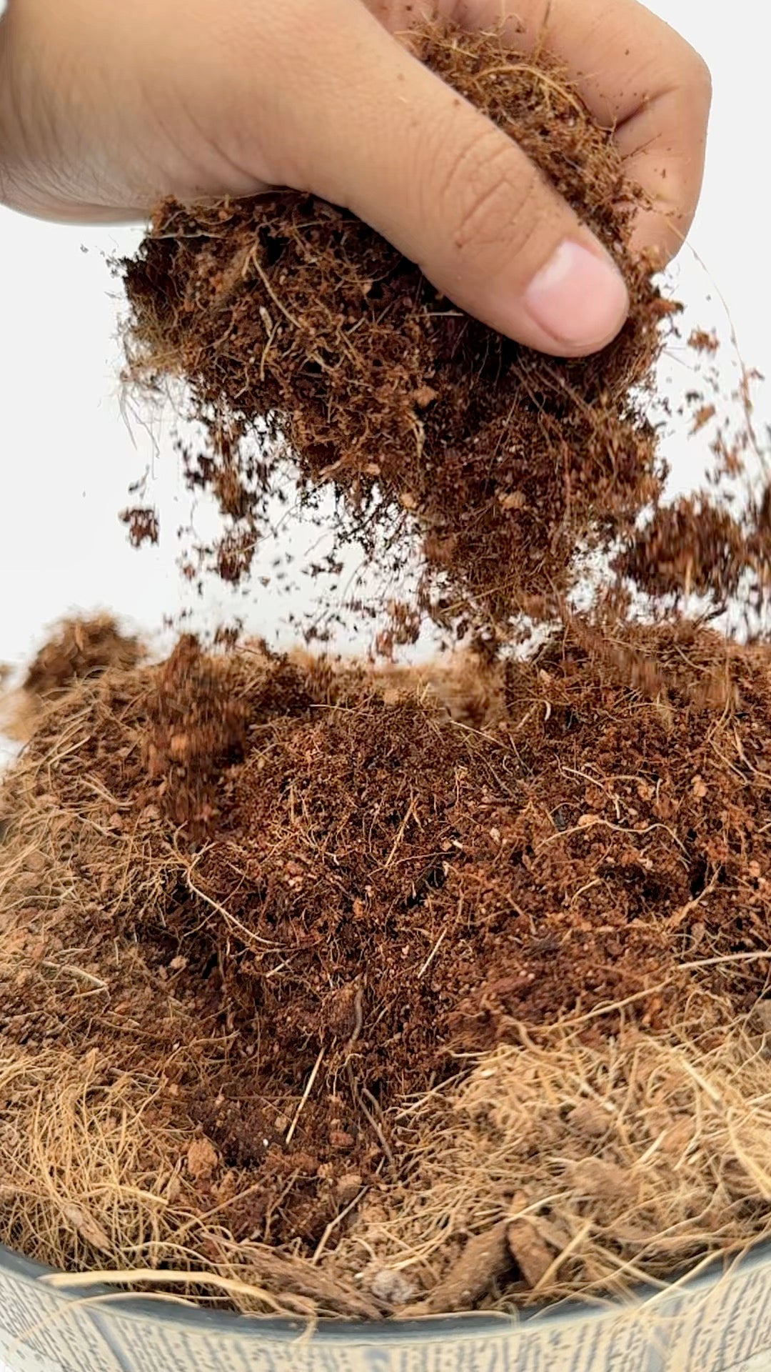 Organic Coco Bricks | 80/20 Coir & Fiber Mix | Seed Starter & Soil Amendment