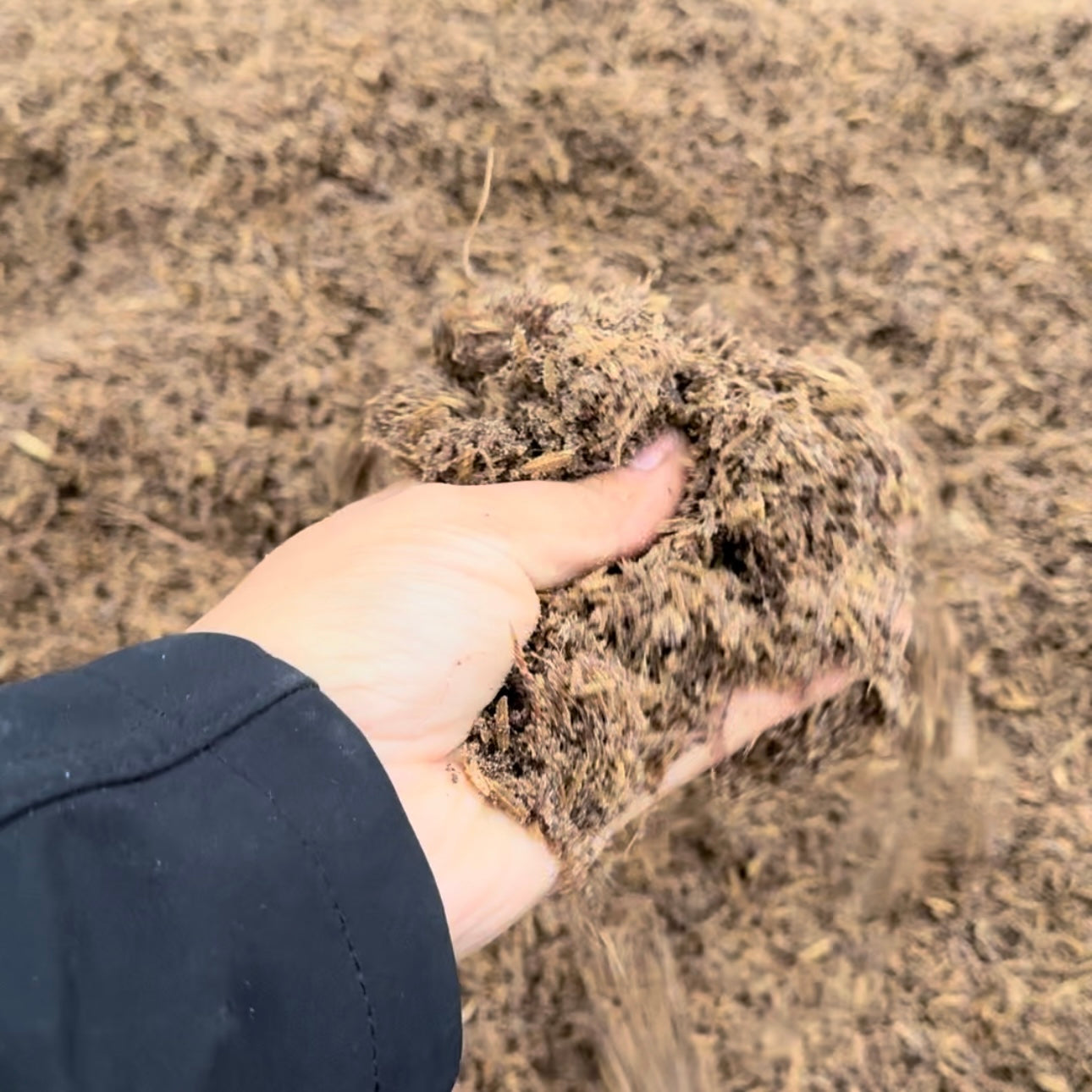 Super Soil | High-Performance Mineral-Based Soil | Root Growth