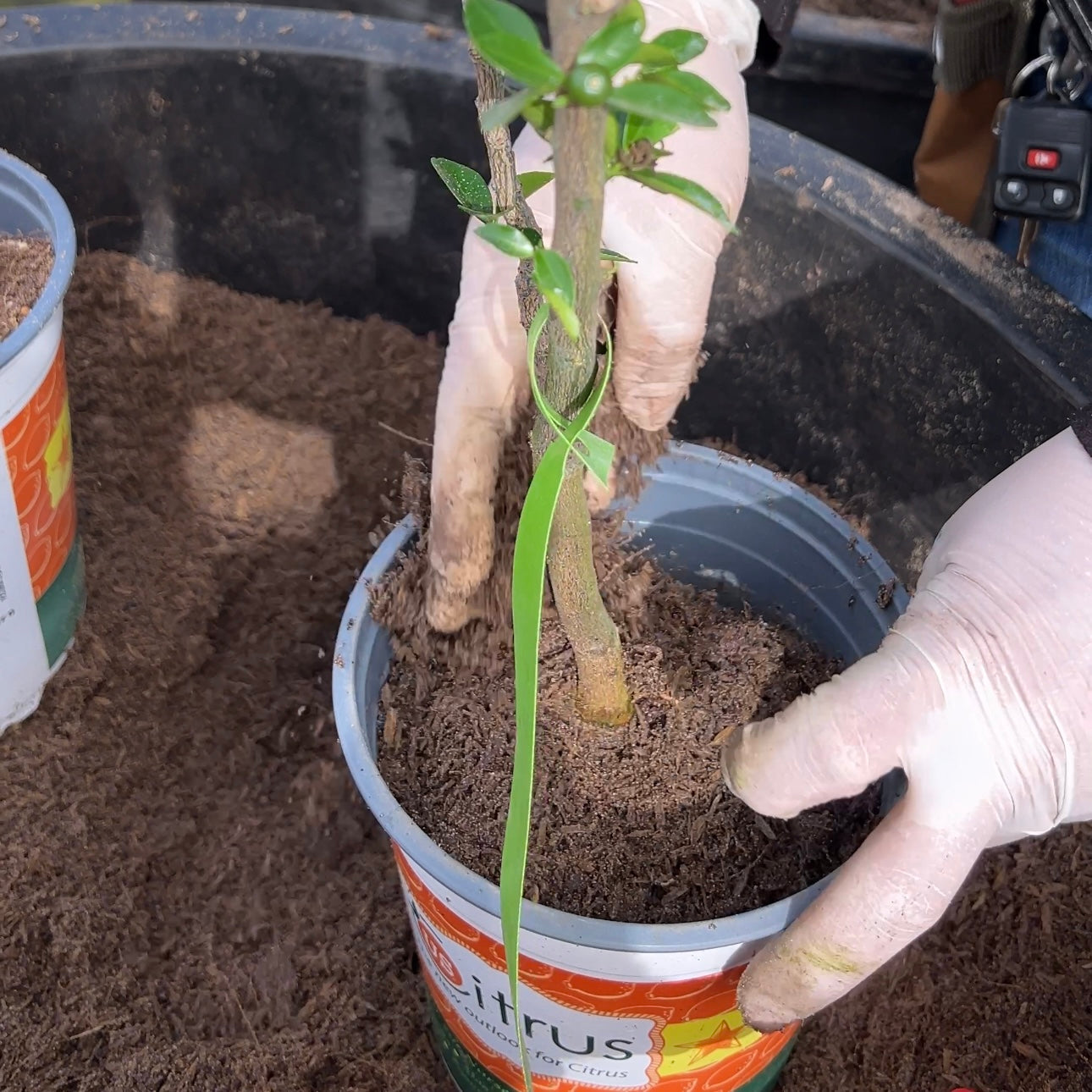 Super Soil | High-Performance Mineral-Based Living Soil Blend | Bio-Active Root Foundation