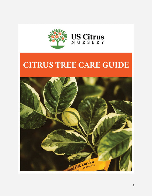 Citrus Tree Care Guide