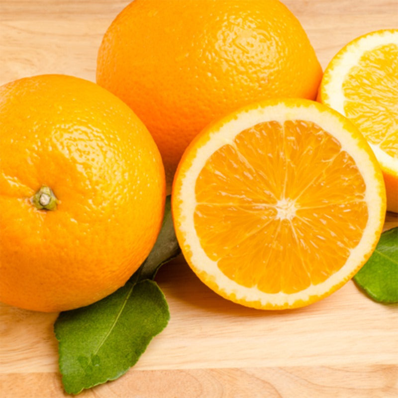 N-33 Navel Orange Tree