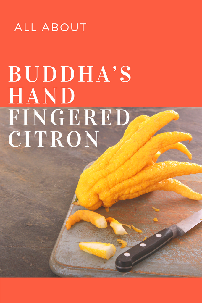 All About Buddha's Hand Fingered Citron Citrus