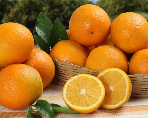 How to Grow Pineapple Oranges in 8 Steps