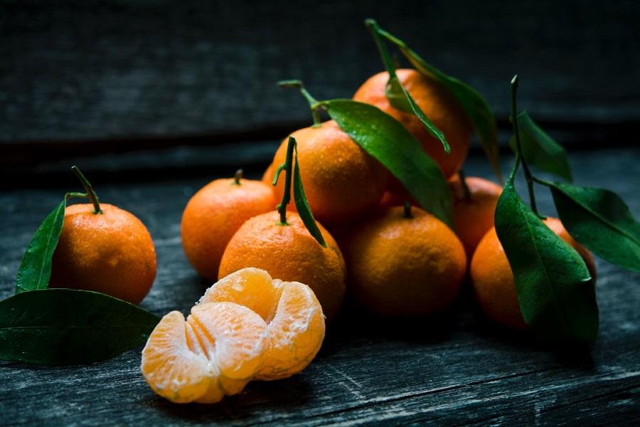 Top 5 Indoor Citrus Trees to Harvest in Winter