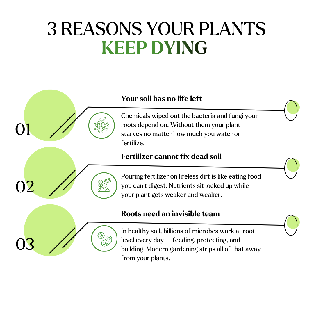 Plant Super Boost | High Performance Soil Life Activator | Bio-Active Root Zone Energizer