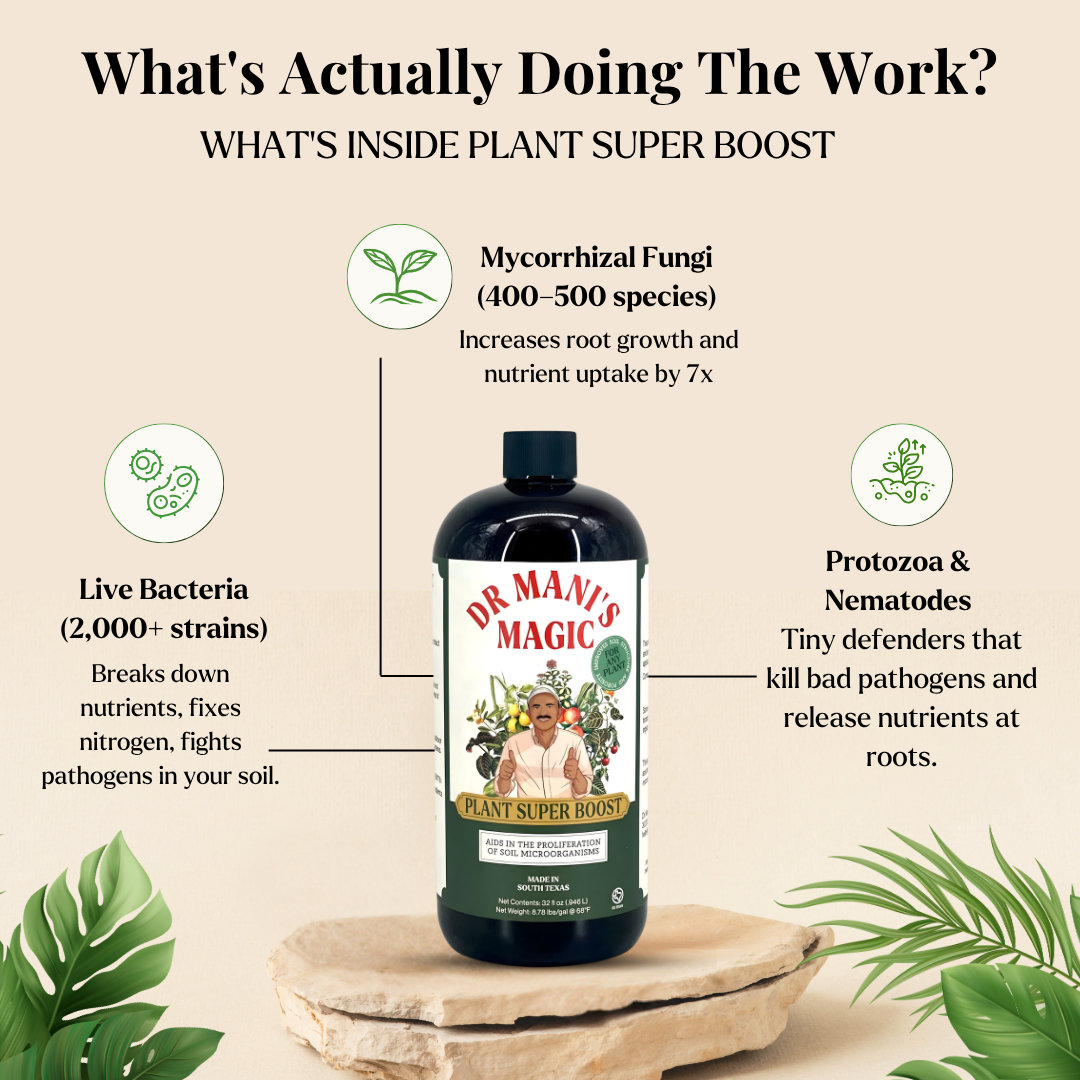 Plant Super Boost | High Performance Soil Life Activator | Bio-Active Root Zone Energizer