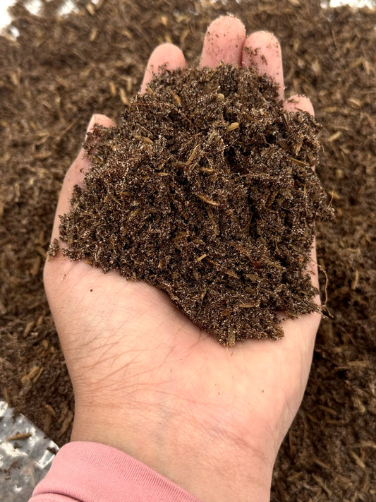 Super Soil | High-Performance Mineral-Based Soil | Root Growth